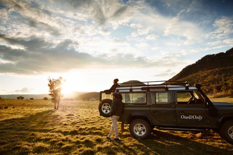 Sunset safari